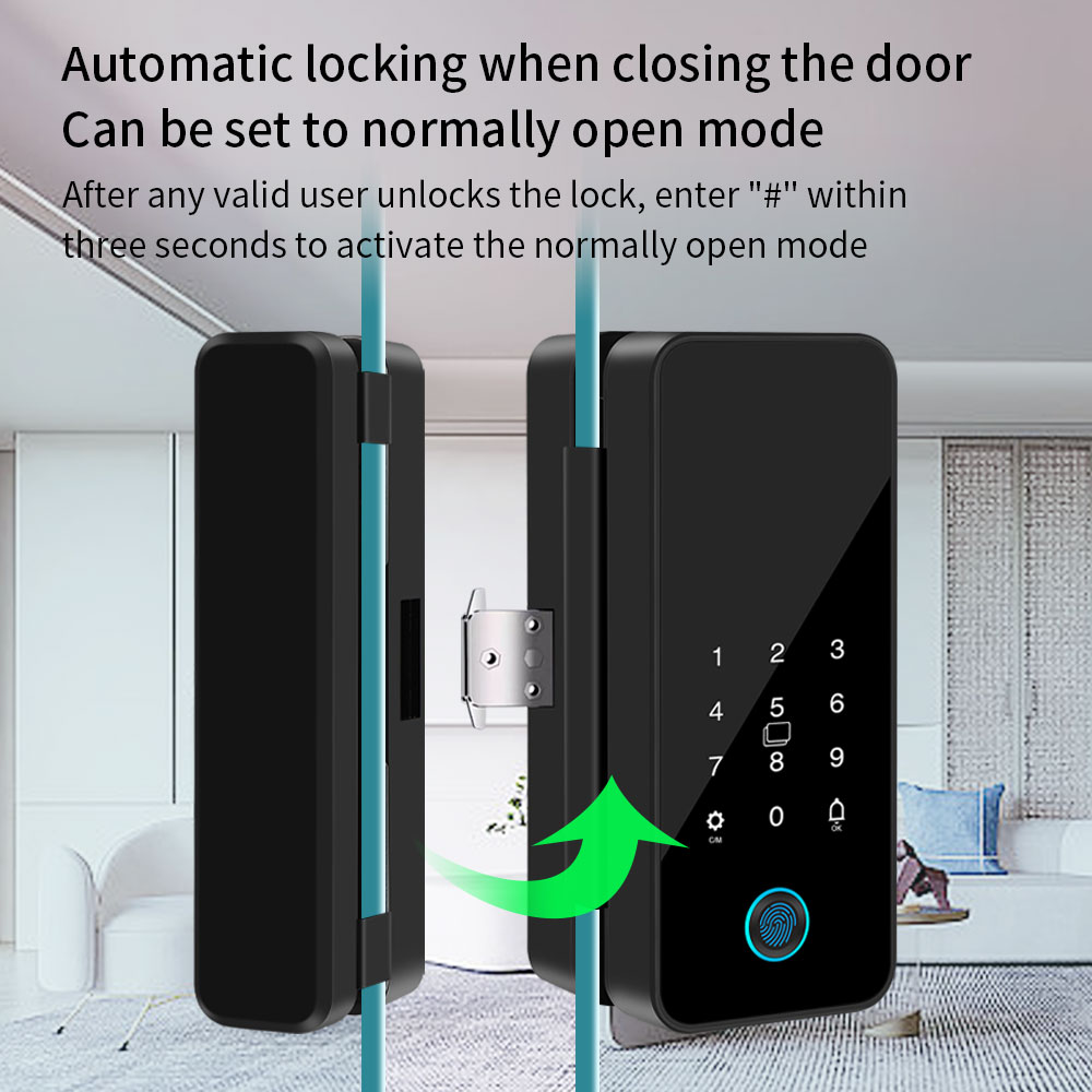 B16 Tuya APP Bluetooth Glass D - đánh giá và giá Glass Door Hinge