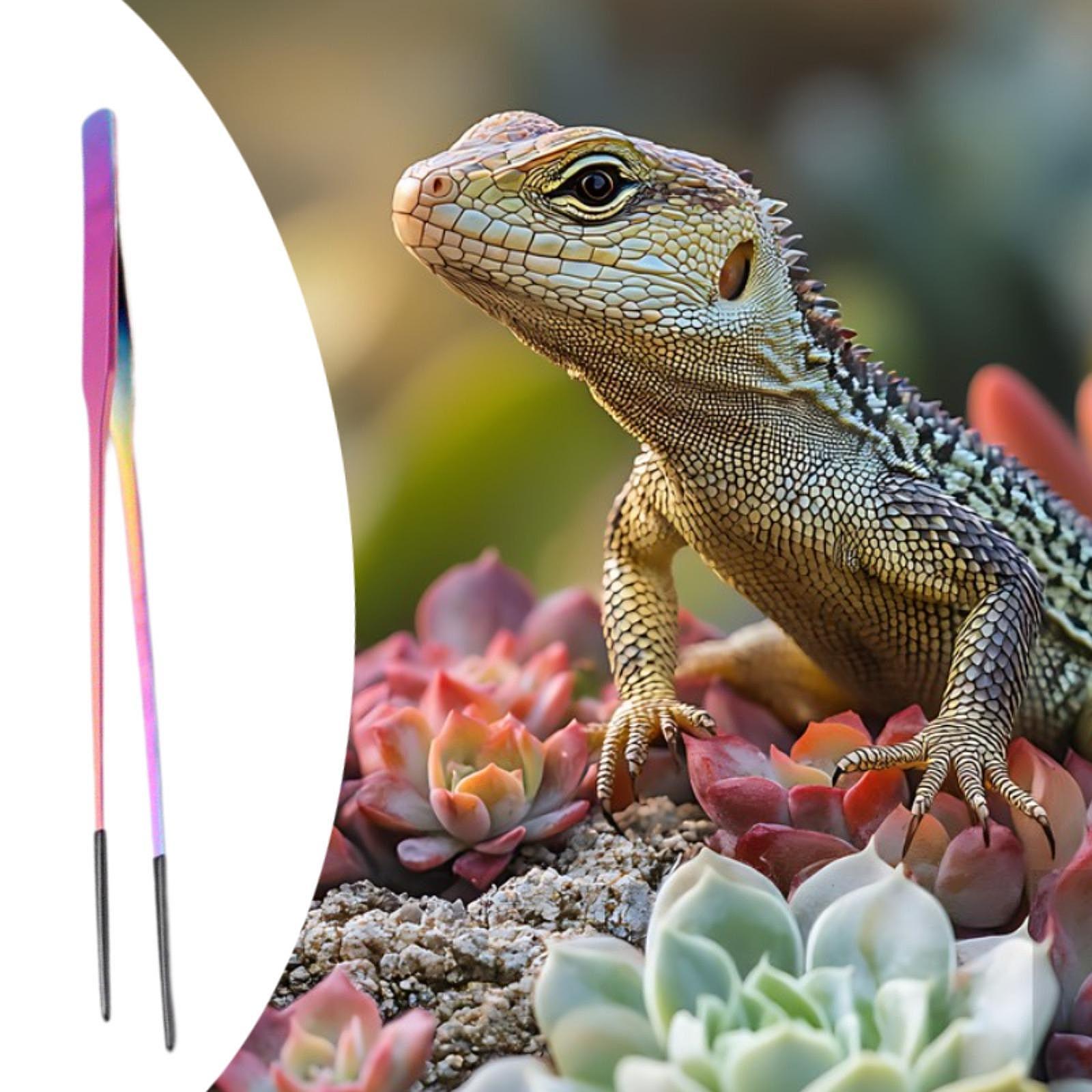 Terrarium Reptile Feeder Tongs - đánh giá và giá Feeding Tong Stainless