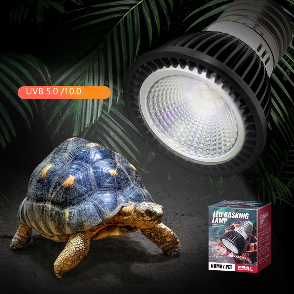 Reptile 110/220V UVB+UVA Light - đánh giá và giá Calcium Powder Reptile