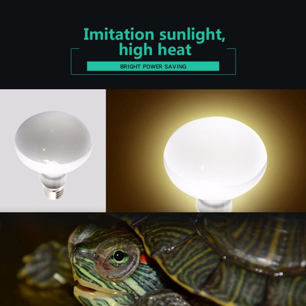 Lizard Temperature Controller  - đánh giá và giá Basking Bulb Halogen