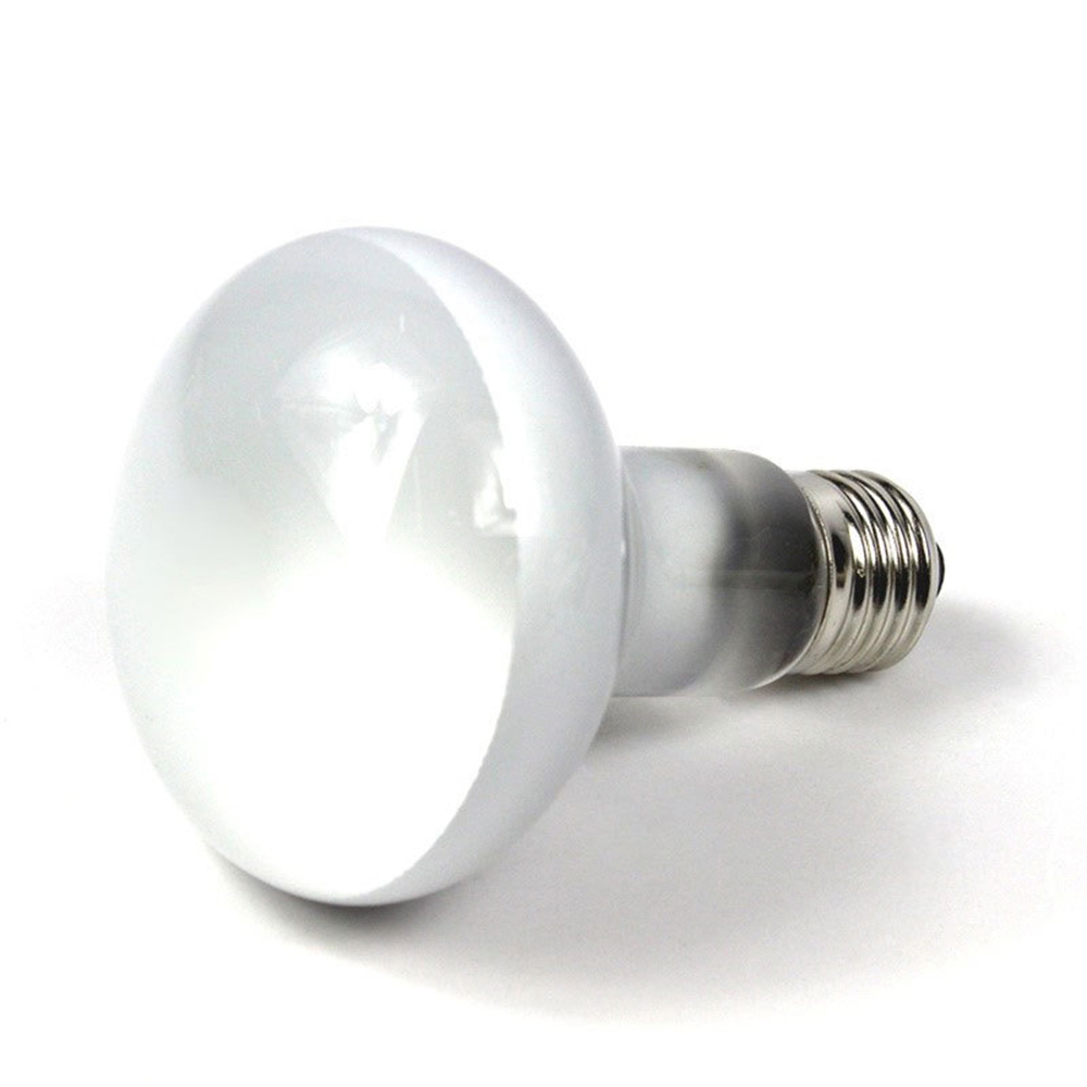 Lizard Temperature Controller  - đánh giá và giá Basking Bulb Halogen