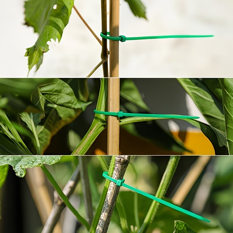 50-300pcs Adjustable Plastic P - đánh giá và giá Vine Climbing Plastic