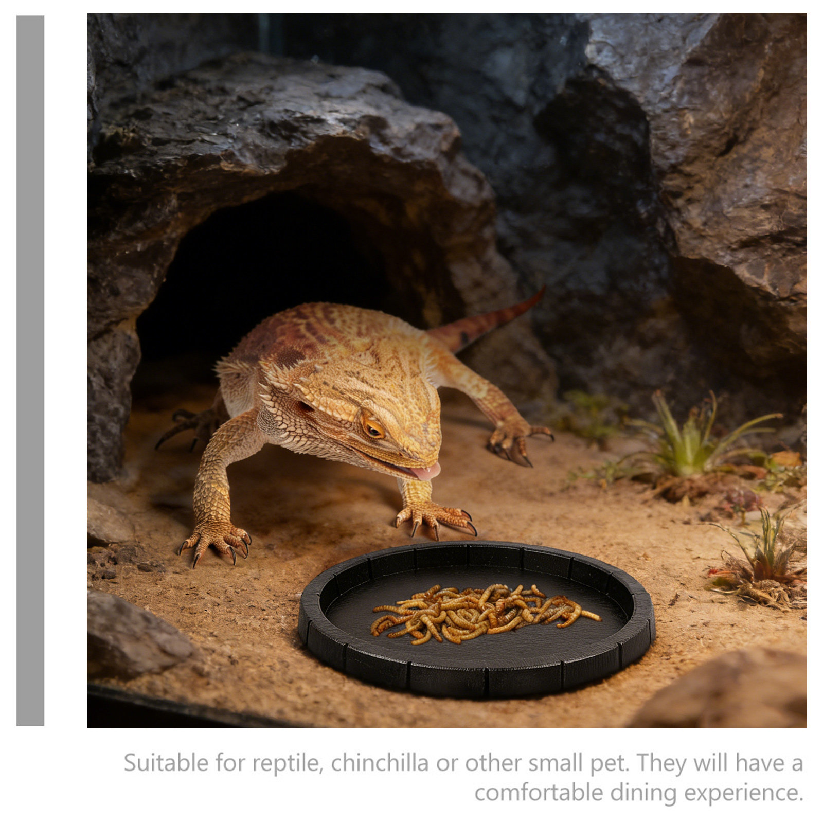 Reptile Feeding Dish Smooth Su - đánh giá và giá Water Dish Reptile