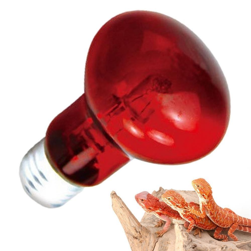 Infrared Led Pet Heating Lamp  - đánh giá và giá Ceramic Heat Emitter