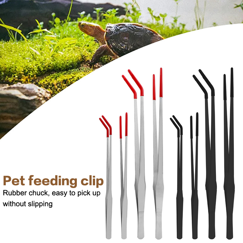 Stainless Steel Reptile With R - đánh giá và giá Feeding Tong Stainless