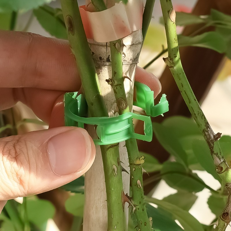 10-500Pcs Garden Plant Support - đánh giá và giá Vine Climbing Plastic