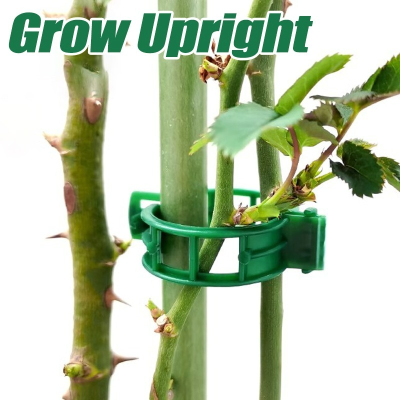 10-500Pcs Garden Plant Support - đánh giá và giá Vine Climbing Plastic