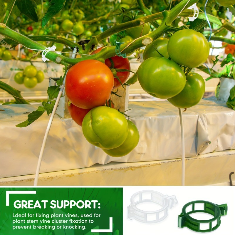 10-500Pcs Garden Plant Support - đánh giá và giá Vine Climbing Plastic