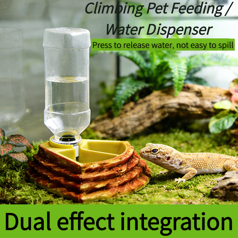 2 in 1 Reptile Water Cup Feede - đánh giá và giá Water Dish Reptile