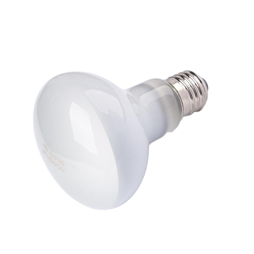 Amphibians Heater Heat Lamp UV - đánh giá và giá Basking Bulb Halogen