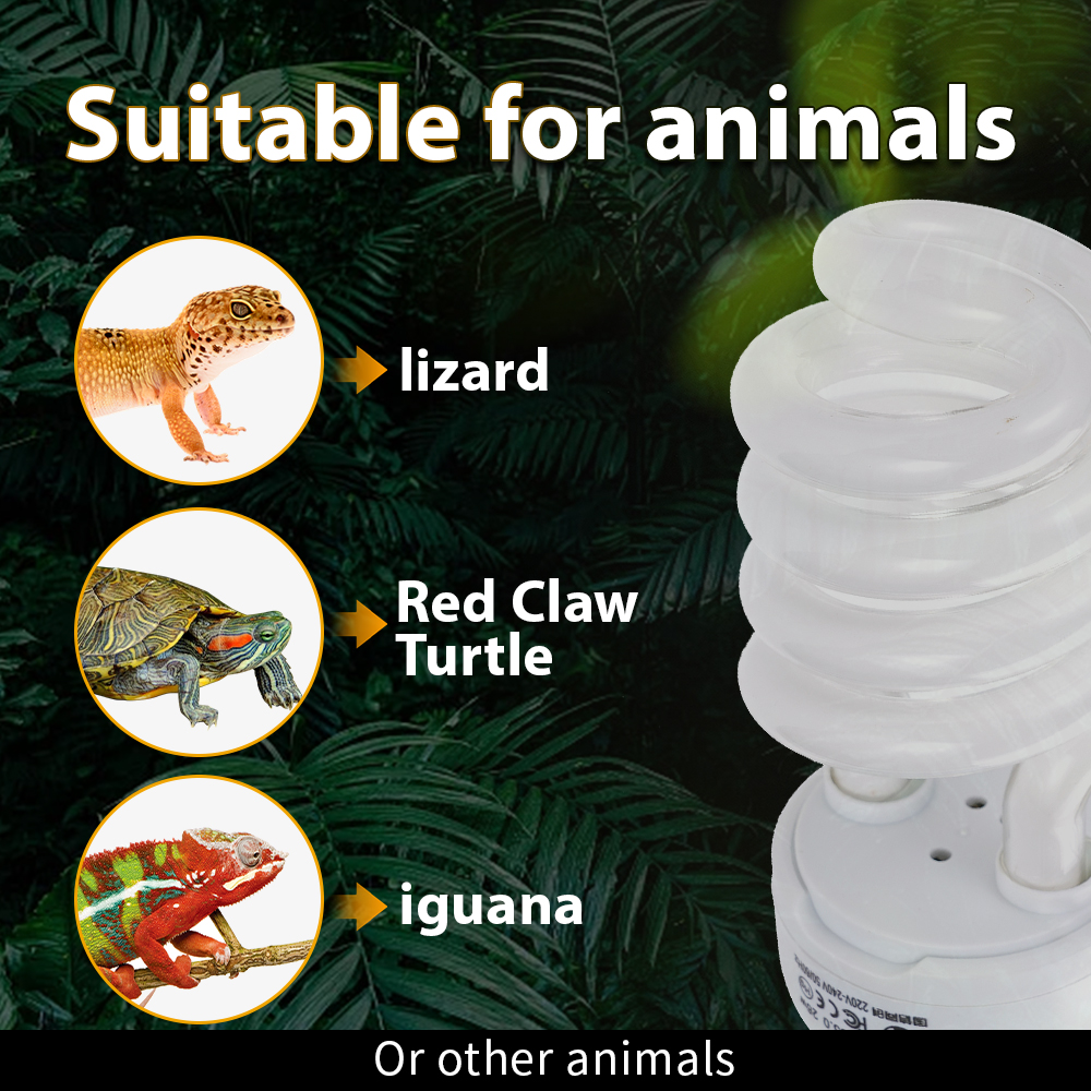26W Pet Box Lamp Calcium Suppl - đánh giá và giá Calcium Powder Reptile
