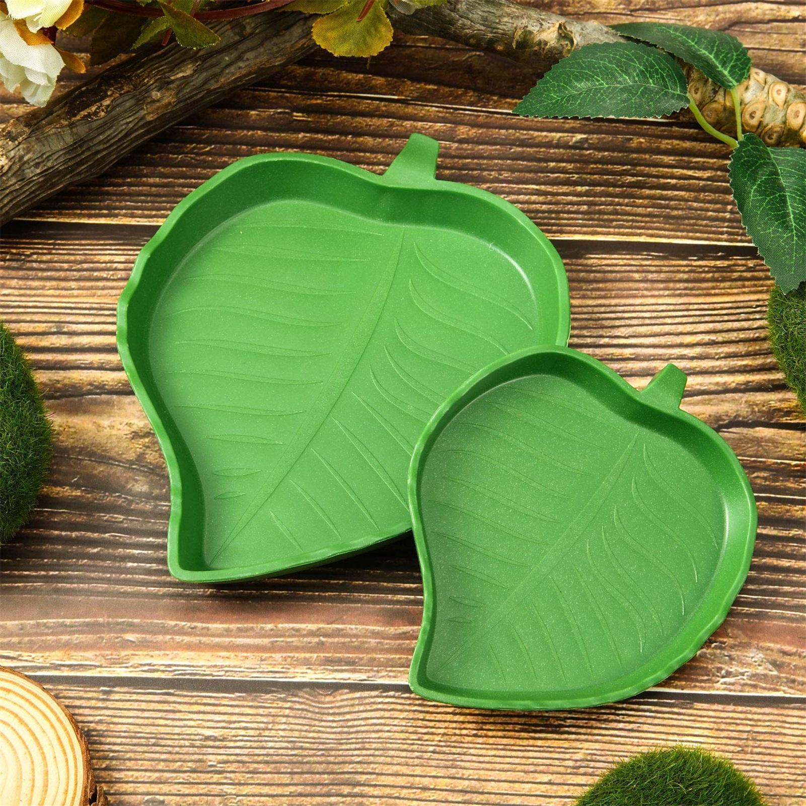 1pc Reptile Dish Flat Drinking - đánh giá và giá Water Dish Reptile