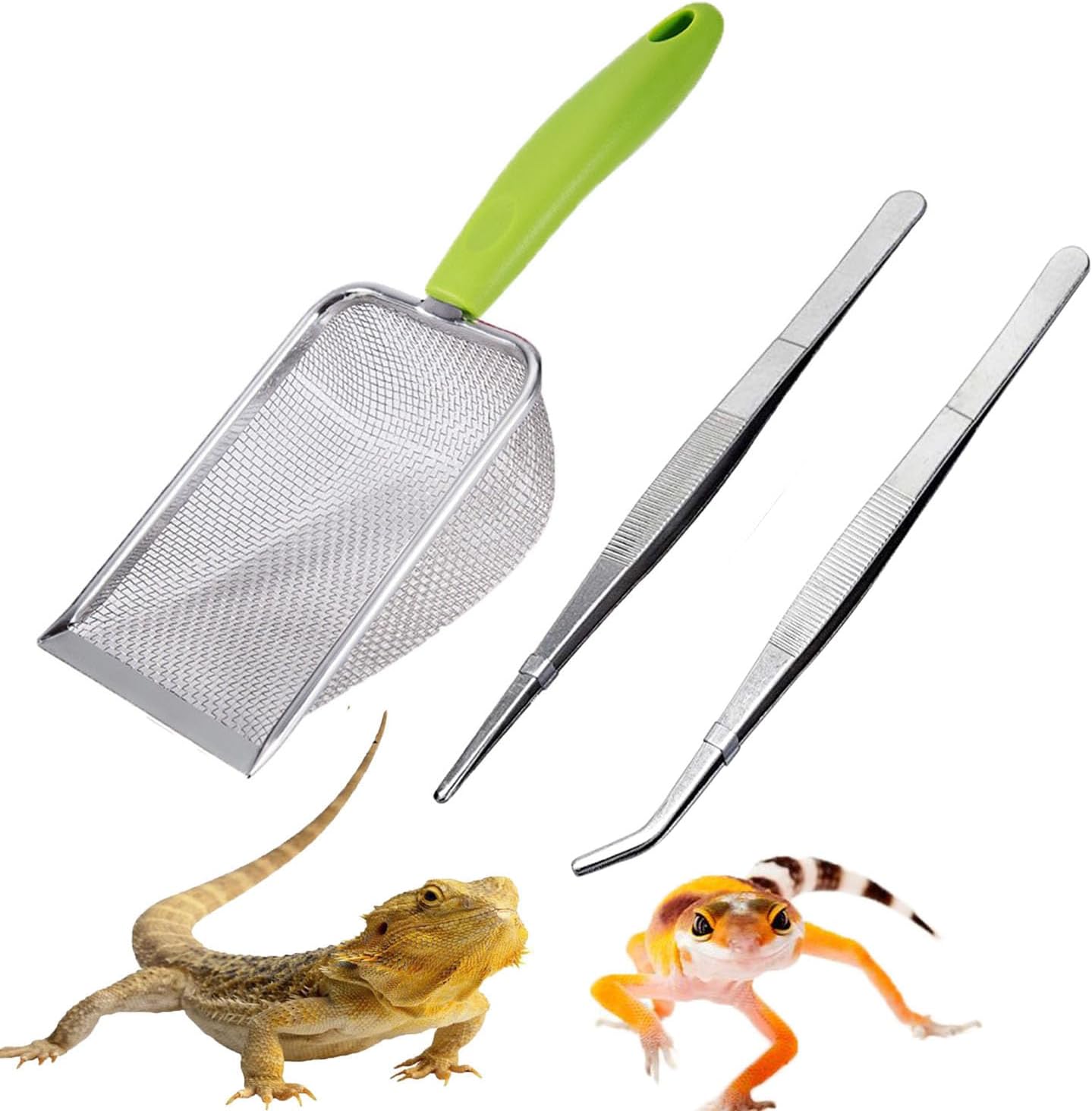 Reptile Sand Scoop Set - Fine  - đánh giá và giá Feeding Tong Stainless