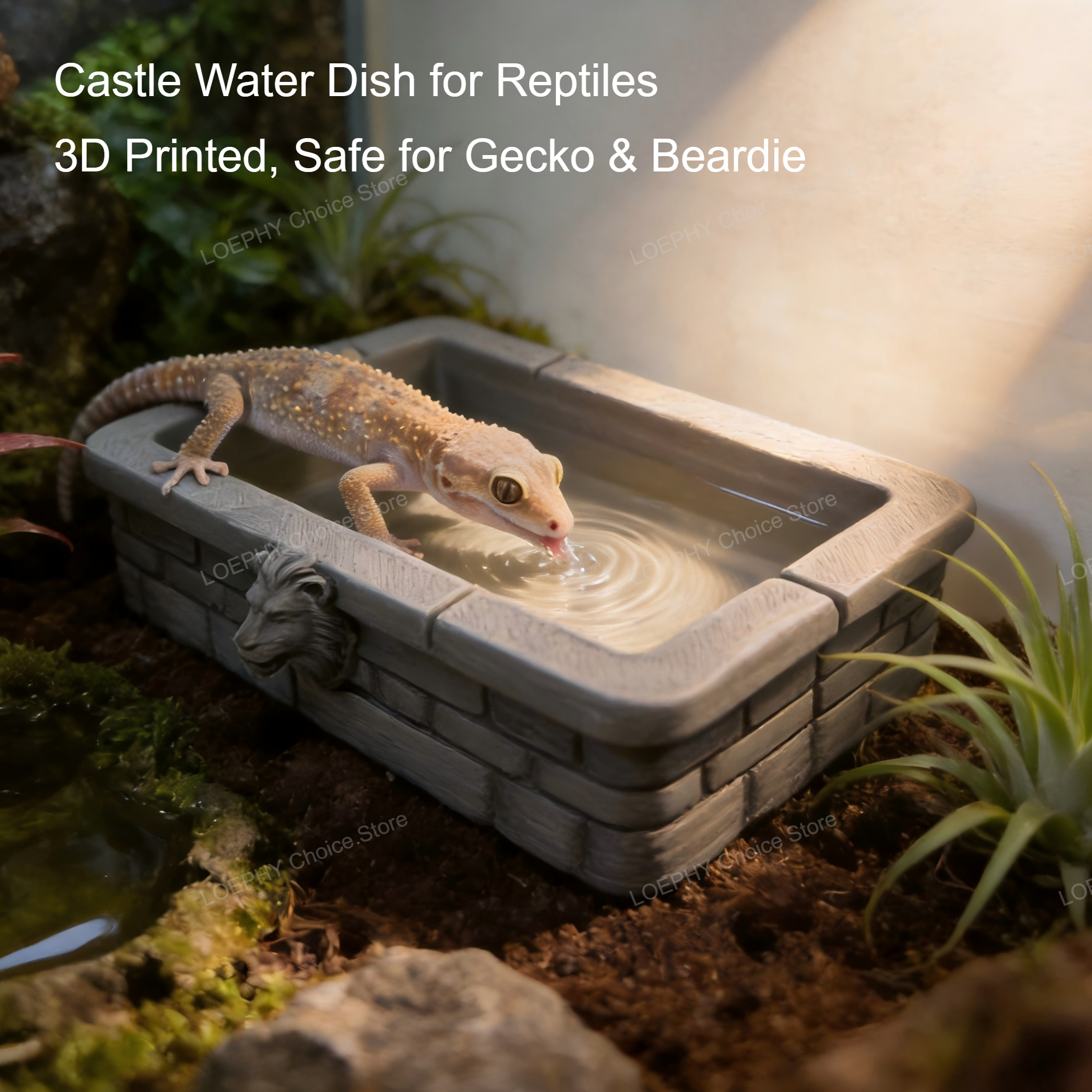 Reptile Water Bowl 3D Printed  - đánh giá và giá Water Dish Reptile
