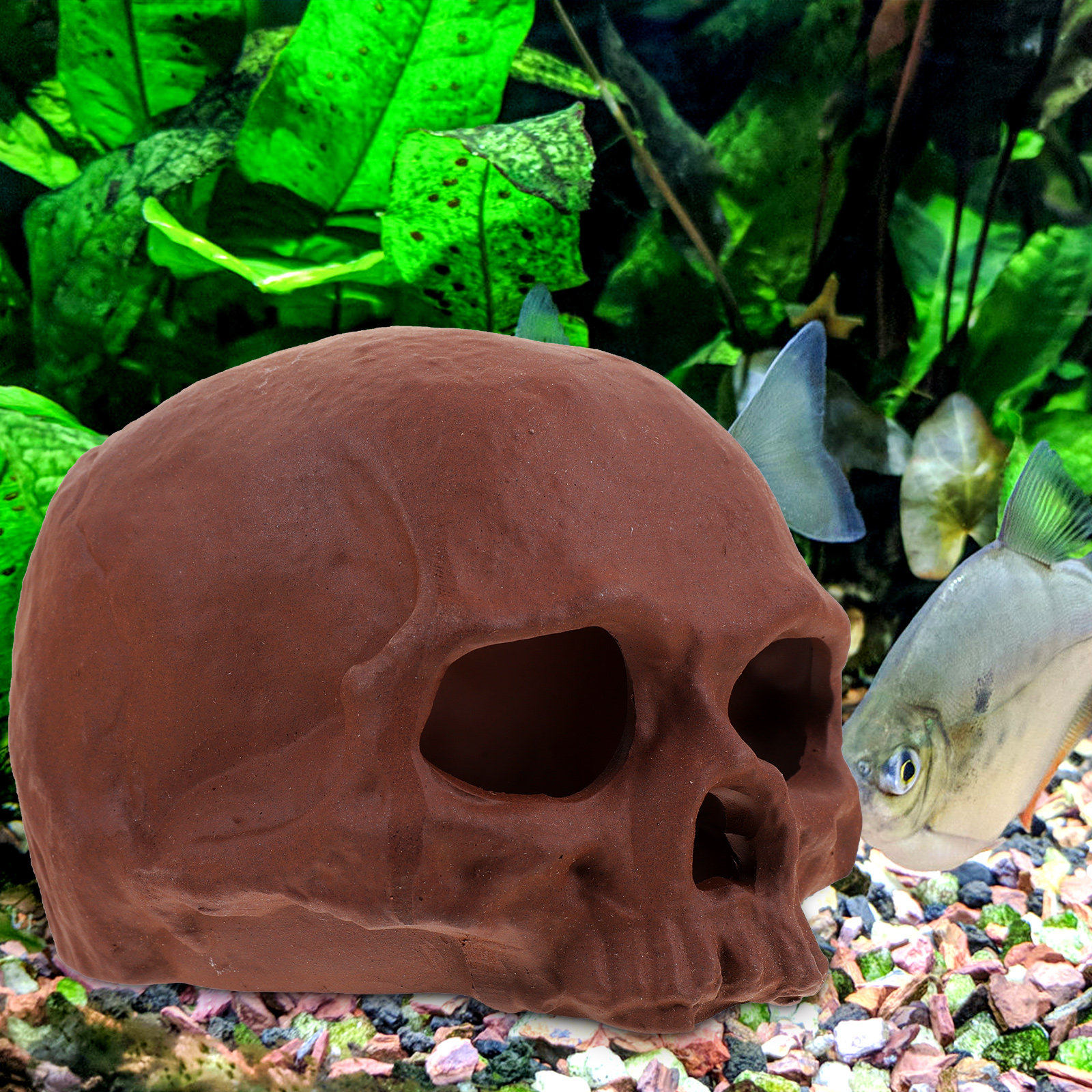 Ceramic Fish Cave Shrimp Hide  - đánh giá và giá Hide Cave Ceramic