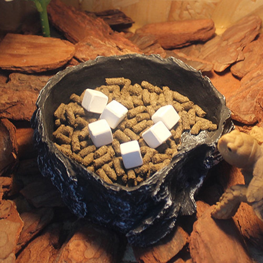 6Pcs Tortoise Tank Calcium Cub - đánh giá và giá Calcium Powder Reptile