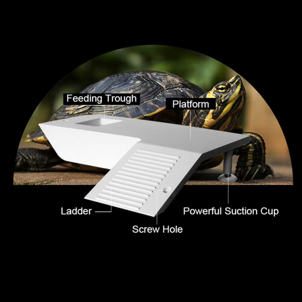 Water Land Slope Box Feeding C - đánh giá và giá Water Dish Reptile