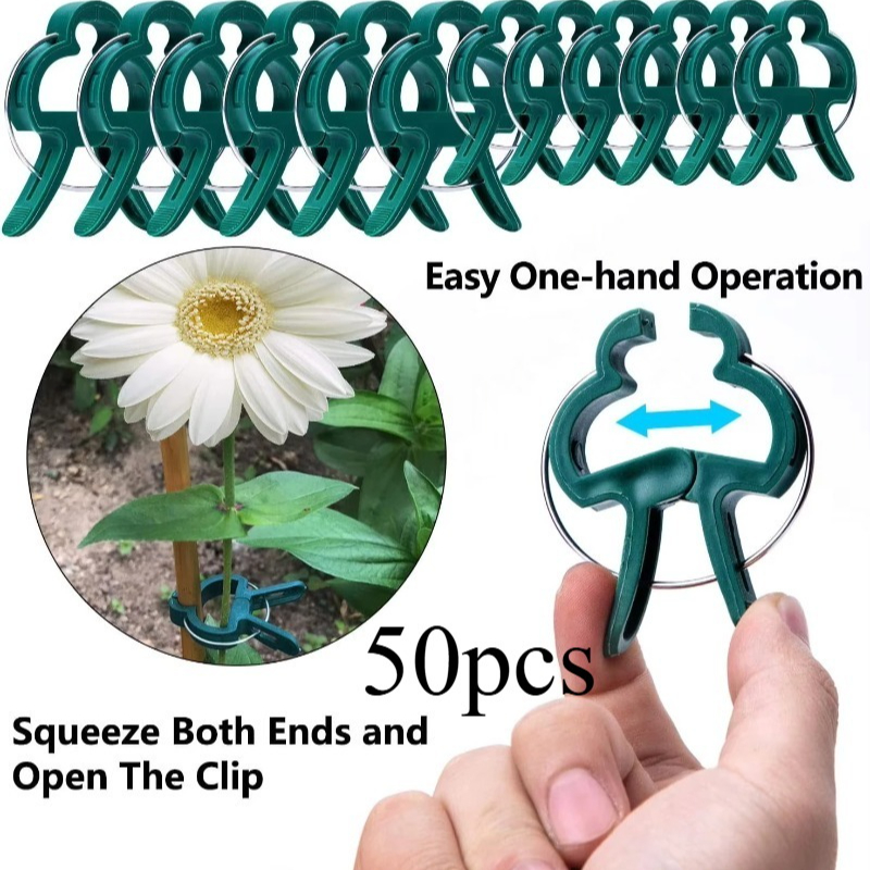 50 Reusable Plant Fixed Clips, - đánh giá và giá Vine Climbing Plastic