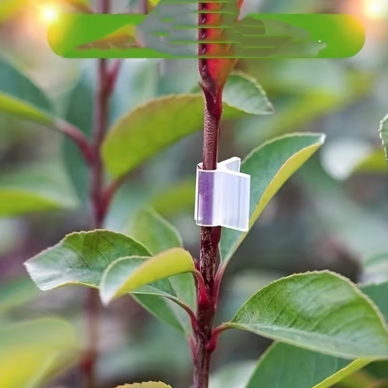 50pcs Agriculture Grafting Cli - đánh giá và giá Vine Climbing Plastic