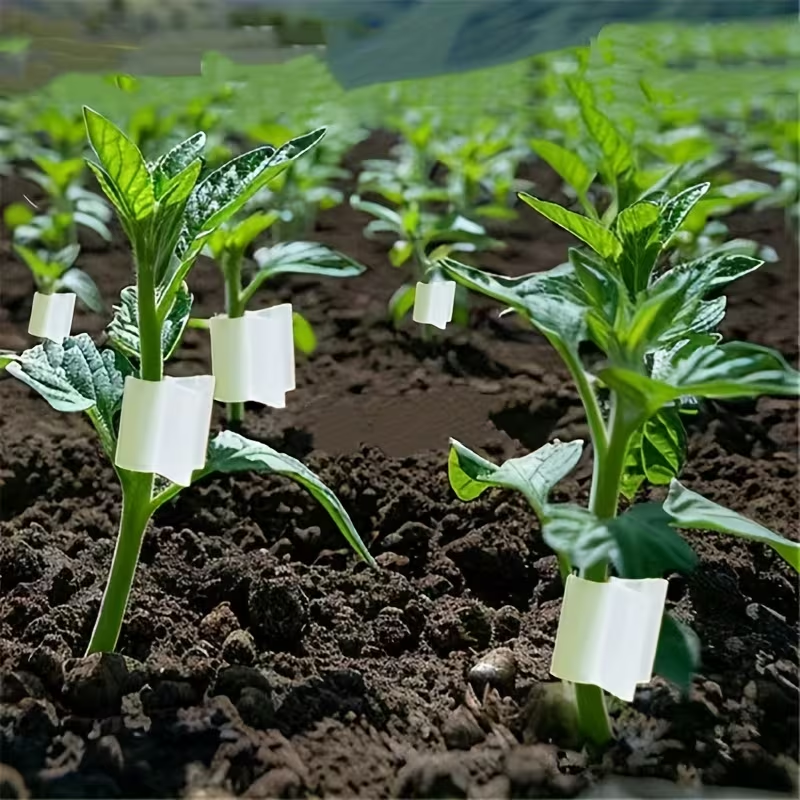 50pcs Agriculture Grafting Cli - đánh giá và giá Vine Climbing Plastic