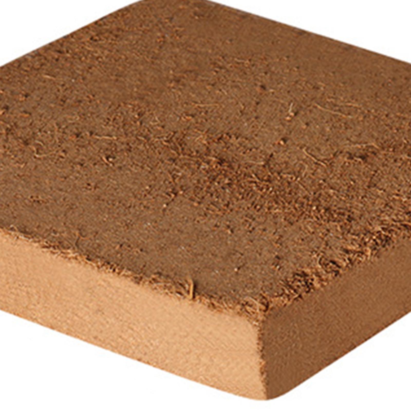 Soil Coconut Fibre Terrarium S - đánh giá và giá Substrate Coconut Fiber