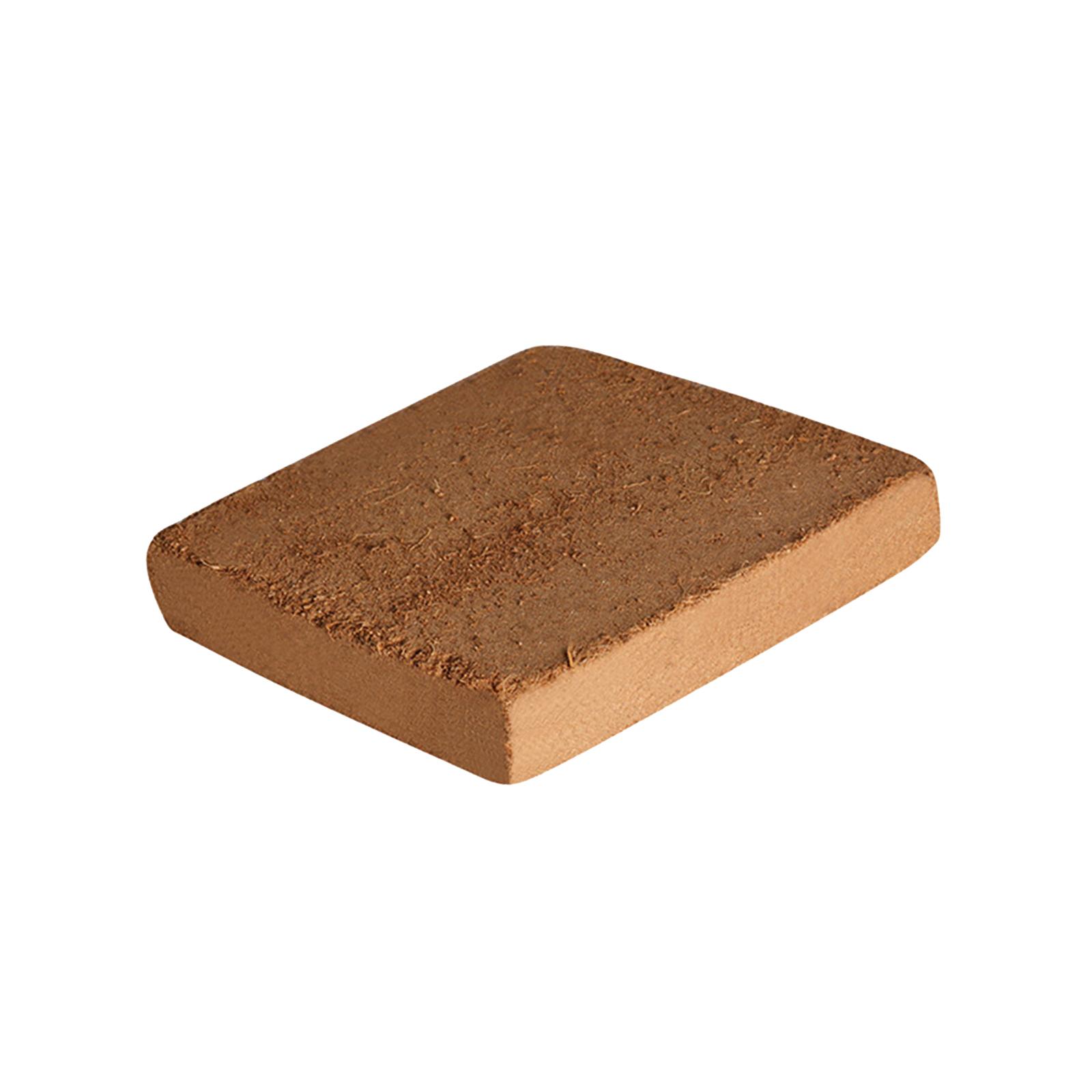 Soil Coconut Fibre Terrarium S - đánh giá và giá Substrate Coconut Fiber