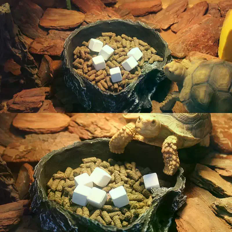 Slow Release Calcium Mineral B - đánh giá và giá Calcium Powder Reptile