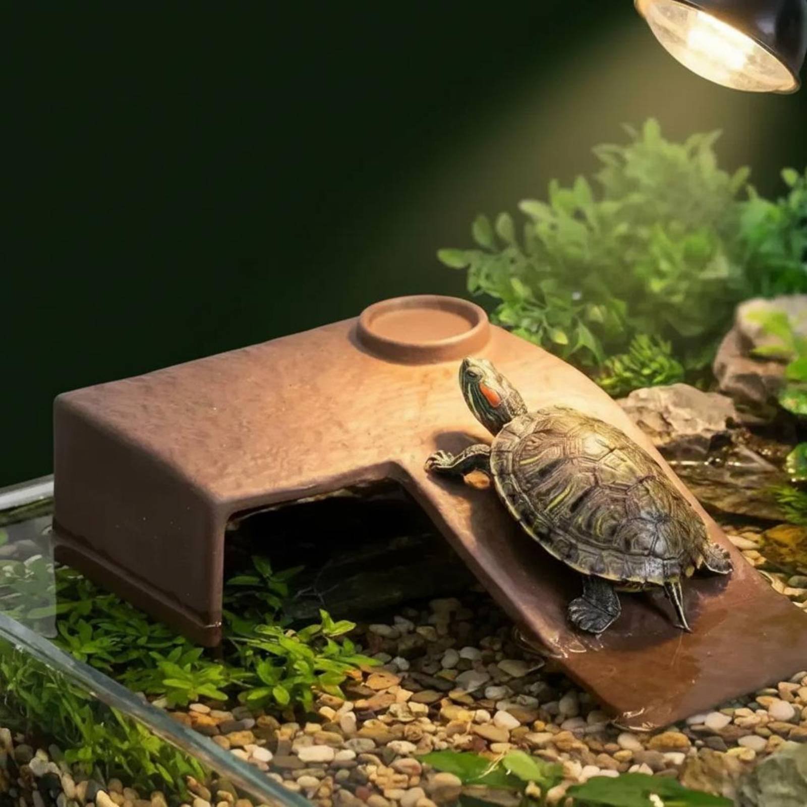2 Pieces Turtle Basking Dock E - đánh giá và giá Hide Cave Ceramic