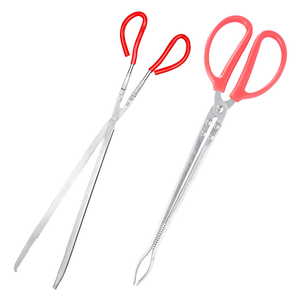 2Pcs Stainless Steel Snake Ton - đánh giá và giá Feeding Tong Stainless